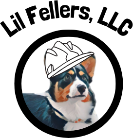 Lil Fellers Logo